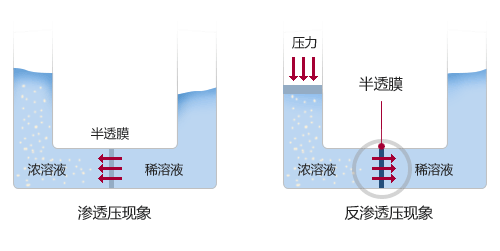 干貨丨關(guān)于RO凈水器的專(zhuān)業(yè)知識(shí)，你有必要了解(圖1)